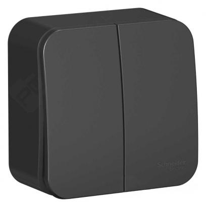 Schneider Electric  BLANCA  Антрацит  Выключатель 2-клавишный (cхема.5) изолирующая пластина 10А, 250B,  открытая установка BLNVA105016