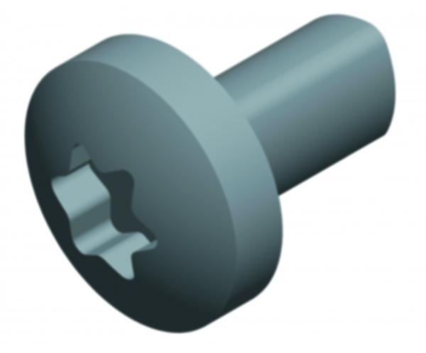 NSYST30M6S САМОНАРЕЗАЮЩИЙ ВИНТ TORX T30 (M6x12)