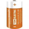 Элемент питания TDM LR20 D Alkaline 1,5V BP2 (кратно 2)