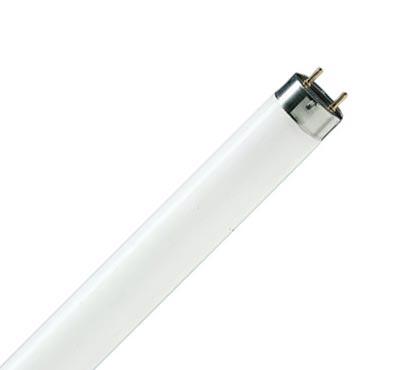 Люминесцентная лампа  Philips  T8  18Вт  6200К  G13