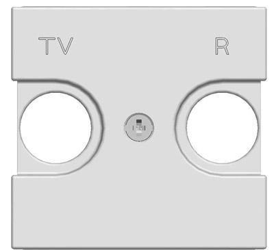 ABB  Zenit  Шампань Накладка для TV-R розетки, 2-модульная,  /N2250.8 CV/// 2CLA225080N1901